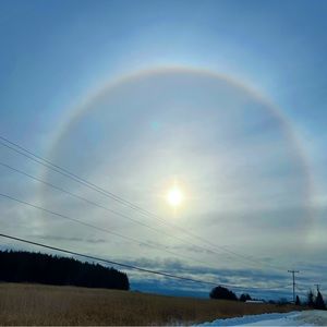 Meet your Posher, Louise